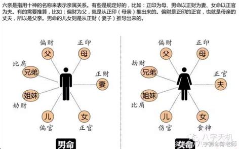 八字六親|八字六親關係